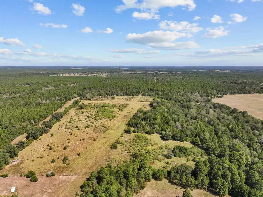 PID 18533 Cr 4035, Lovelady, TX 75851 - #3