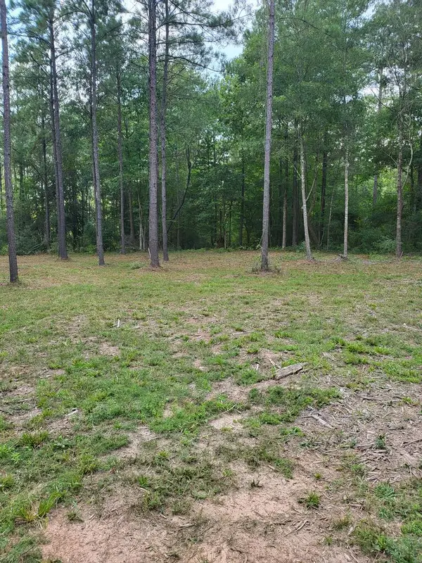 373312 Cr 3160, Colmesneil, TX 75938