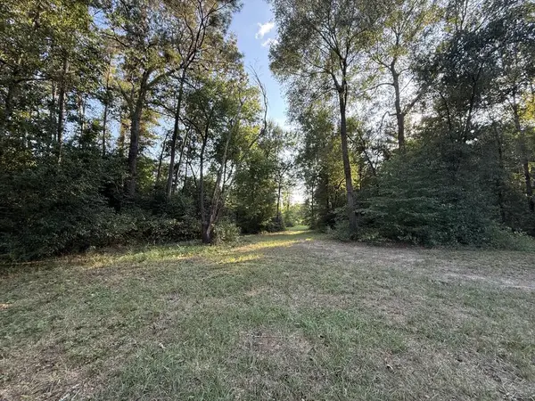 745 County Road 534, Kirbyville, TX 75958