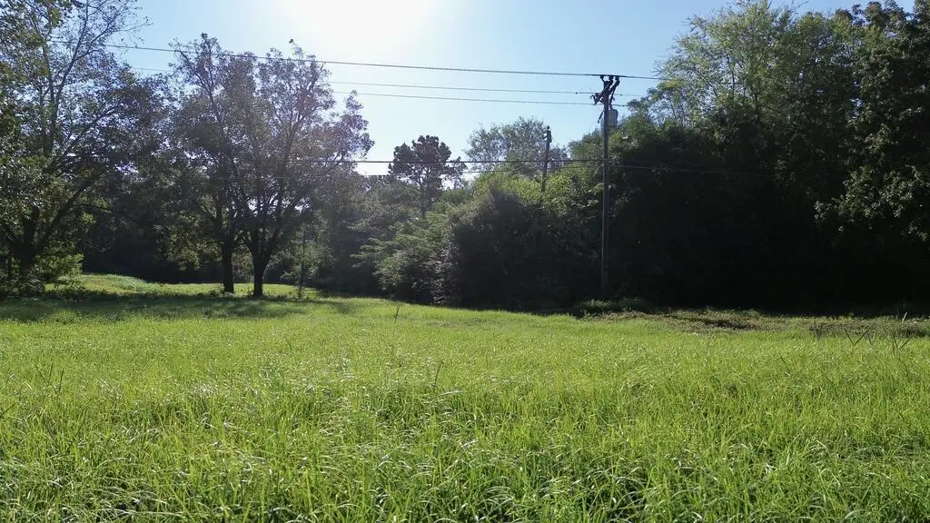 4600 Hwy 96 N, Jasper, TX 75951 - #1