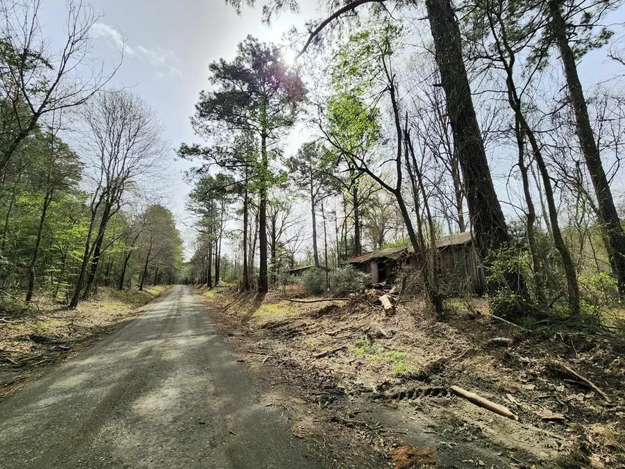 2609 County Road 2625, Shelbyville, TX 75973 - #2