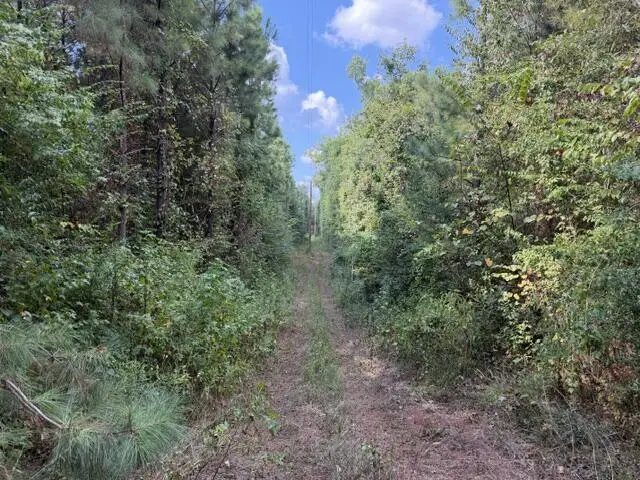 48 Lickskillet Road, San Augustine, TX 75972 - #2