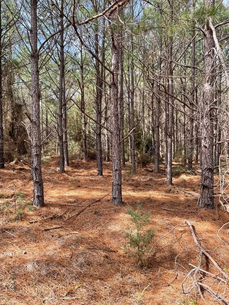 1870 County Road 546, Nacogdoches, TX 75961 - #3