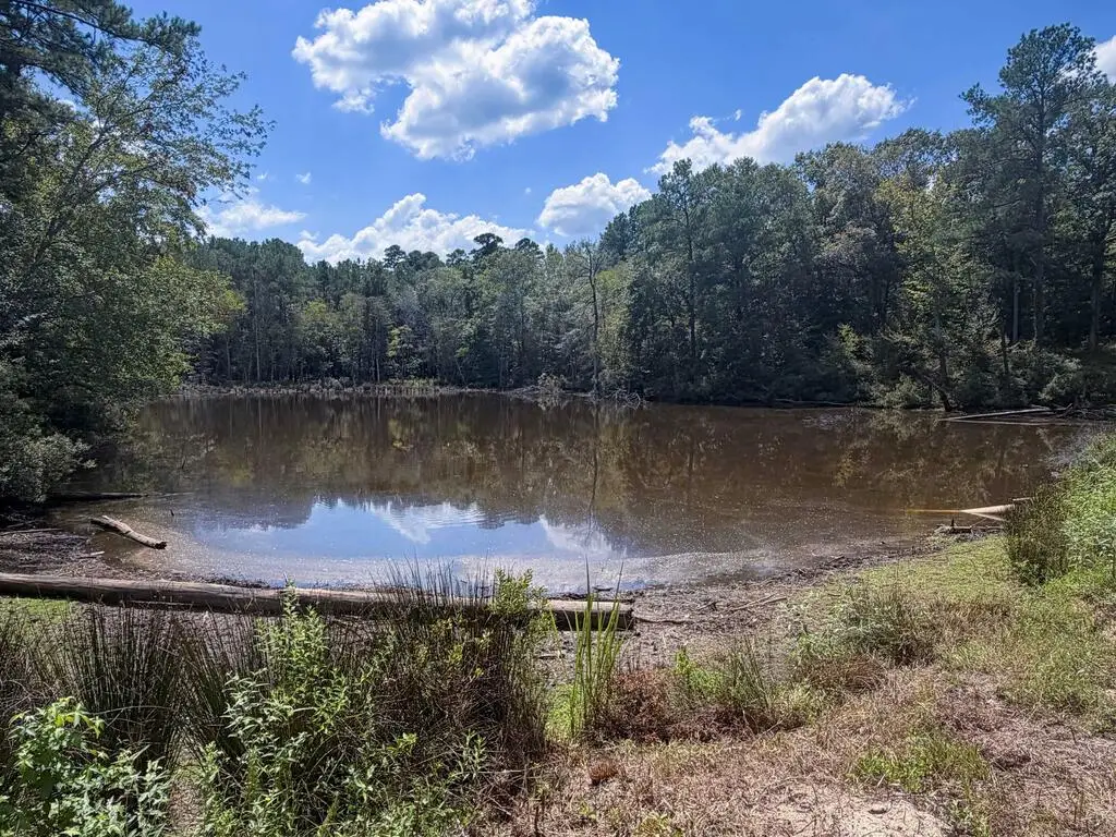 16111 Cr 1226, Grapeland, TX 75844 - #1