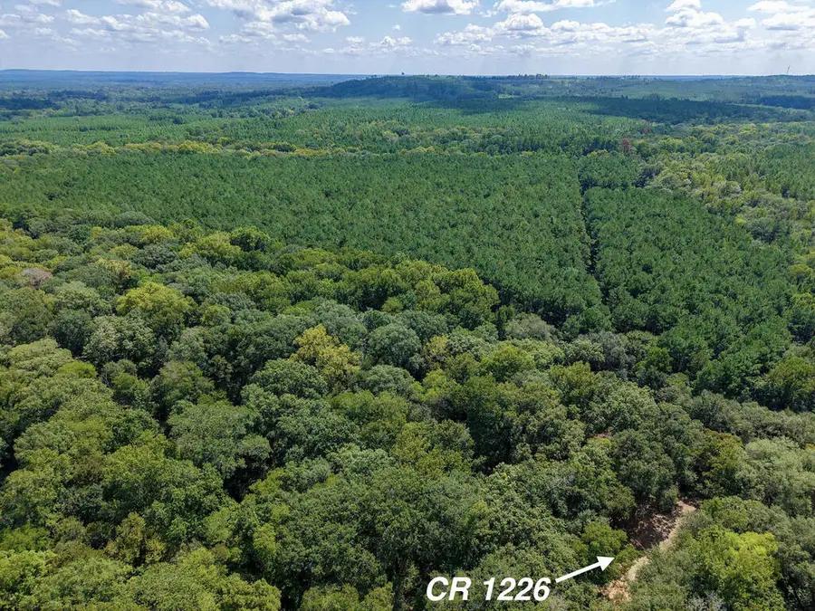16111 Cr 1226, Grapeland, TX 75844 - #3