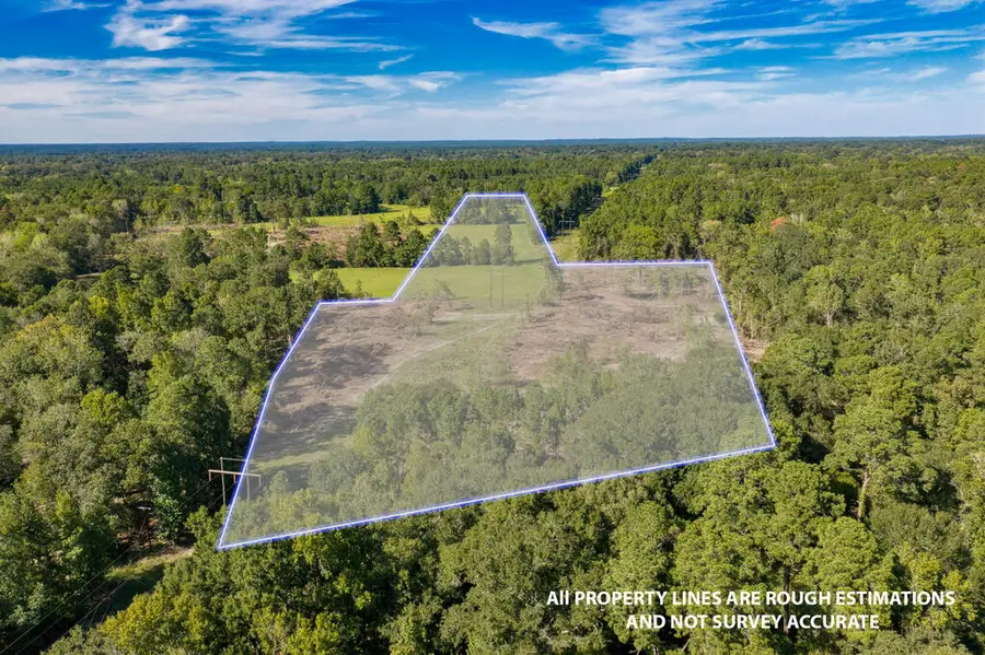 375 Shaw Street, Diboll, TX 75941 - #3