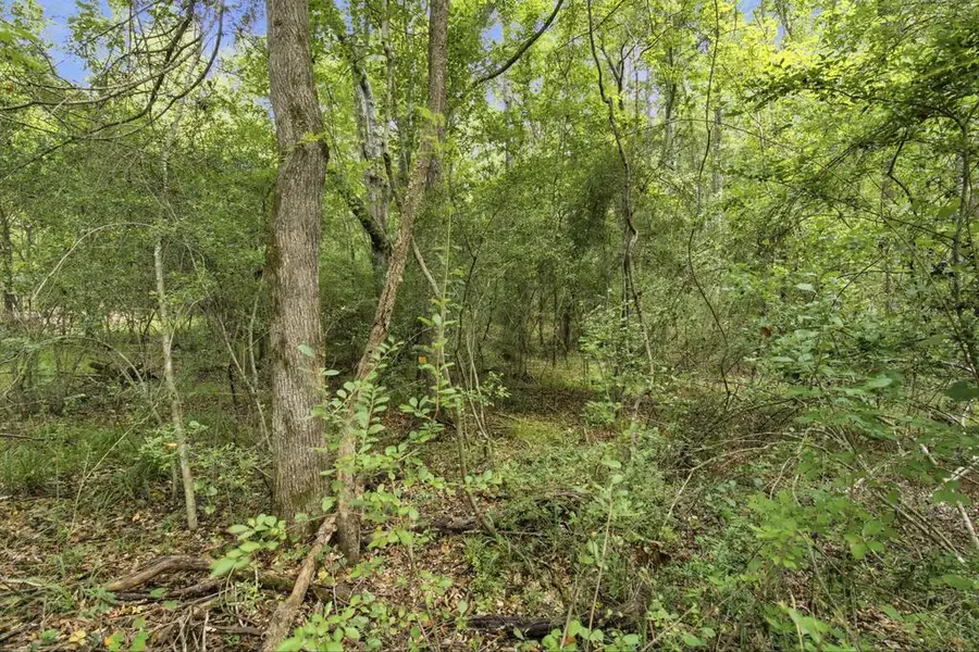 PID R006028481 Sh 21 W, San Augustine, TX 75972 - #3