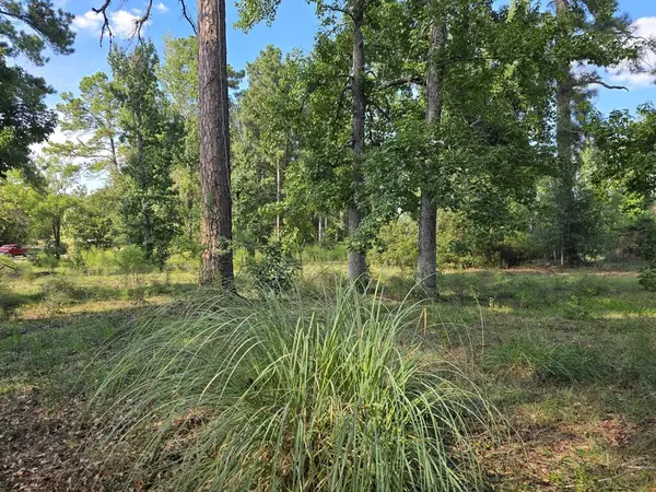 2189 Fm 252, Jasper, TX 75951