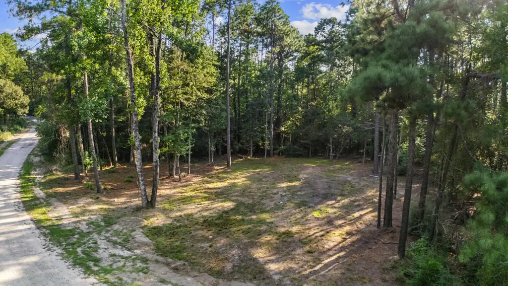 225 Middlecoff Drive, Brookeland, TX 75931 - #1