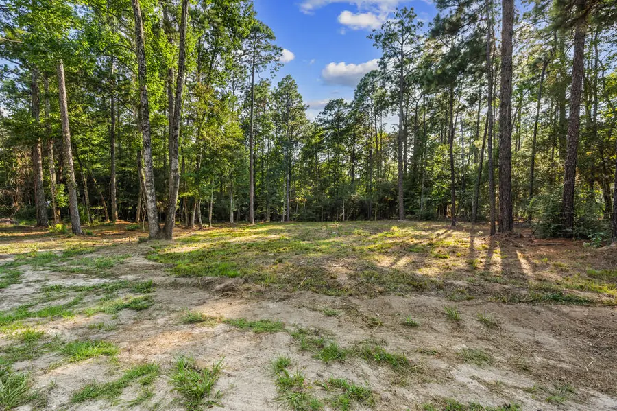 225 Middlecoff Drive, Brookeland, TX 75931 - #2