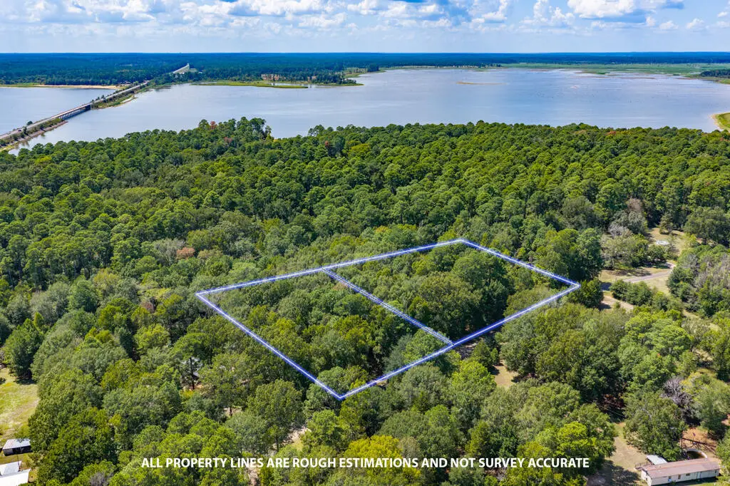 399 Forest Lane, Etoile, TX 75944 - #1