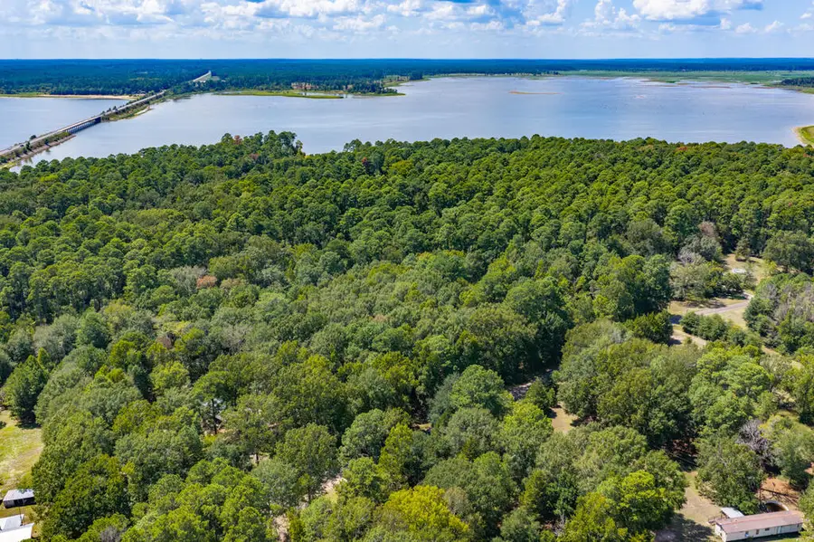 399 Forest Lane, Etoile, TX 75944 - #2