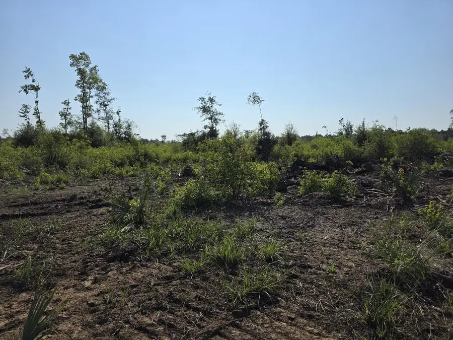36780 Old Sour Lake Road, Sour Lake, TX 77659 - #3