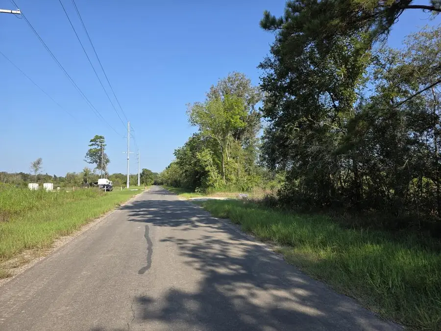 61.33 AC +/- Old Sour Lake Road, Sour Lake, TX 77659 - #2