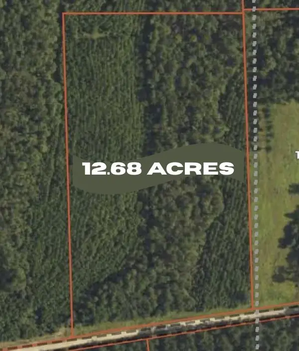 PID 57087 Timber Ranch Road, Apple Springs, TX 75926