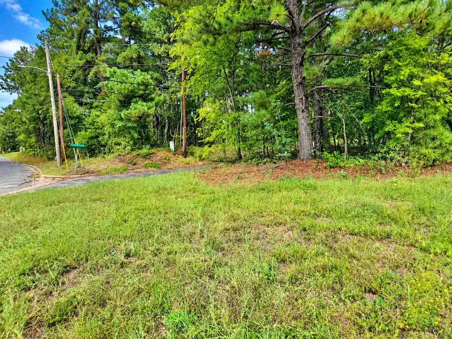 Lot 6 Old Tyler Road, Nacogdoches, TX 75964 - #2