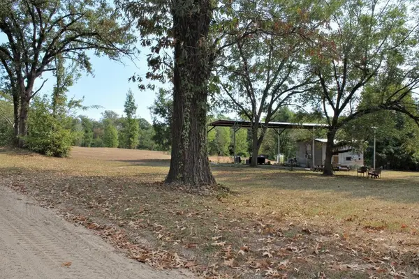 896 County Road 2125, Burkeville, TX 75932