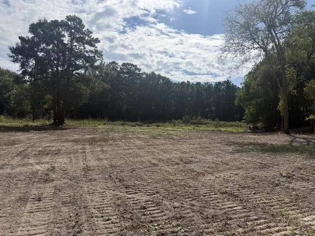 281B Burkhalter Hollow, Diboll, TX 75941 - #3