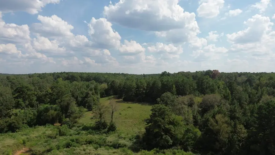 TBD Cr 888, Cushing, TX 75760 - #2