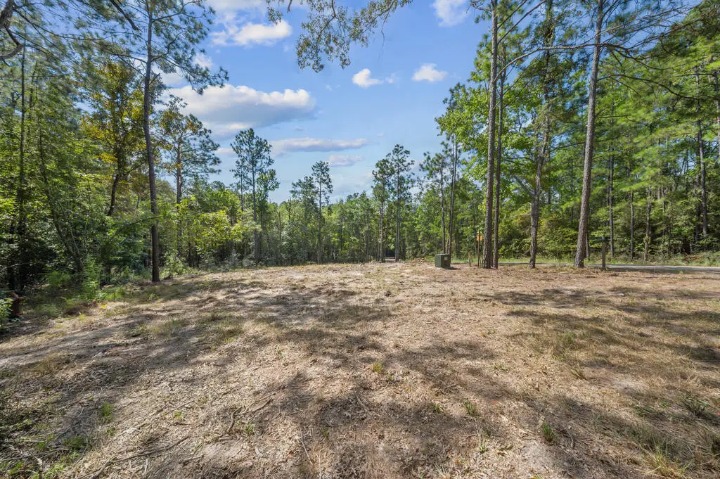 235 Deodar Drive, Brookeland, TX 75931 - #1