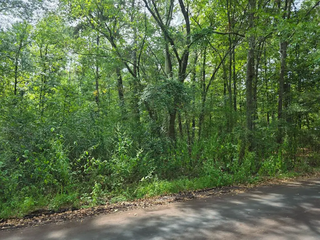Lot 9 Cr 508, Nacogdoches, TX 75961 - #1