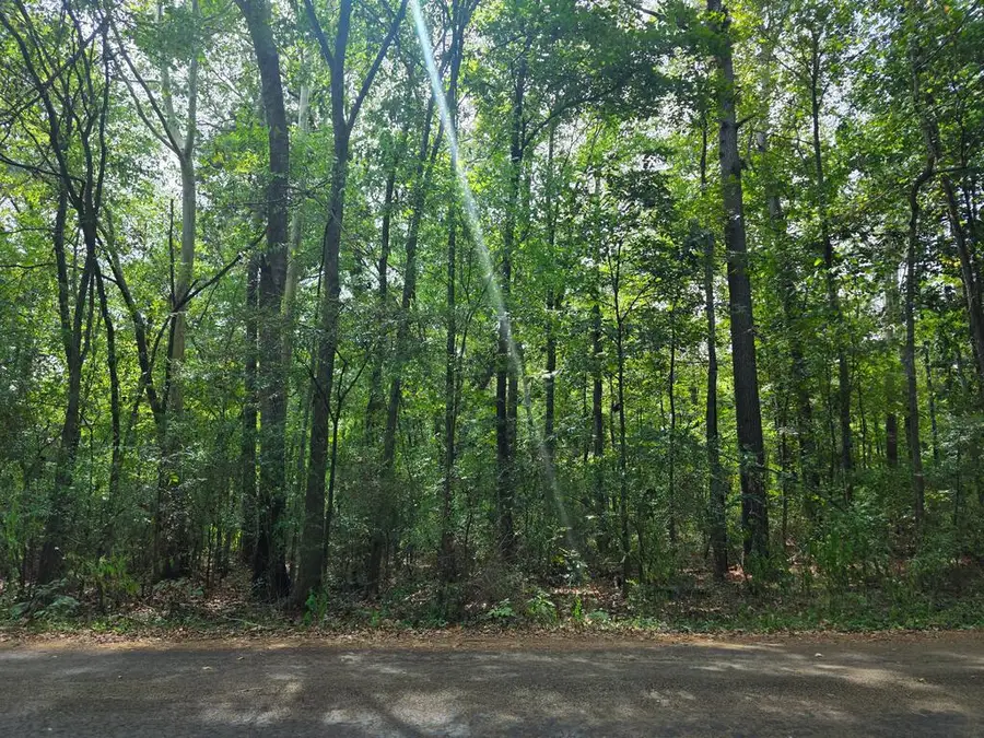 Lot 9 Cr 508, Nacogdoches, TX 75961 - #3