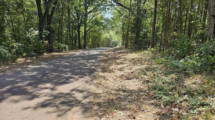 Parcel 830,831 Cr 3223, Laneville, TX 75667 - #2