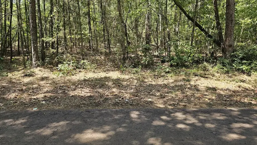Parcel 830,831 Cr 3223, Laneville, TX 75667 - #3