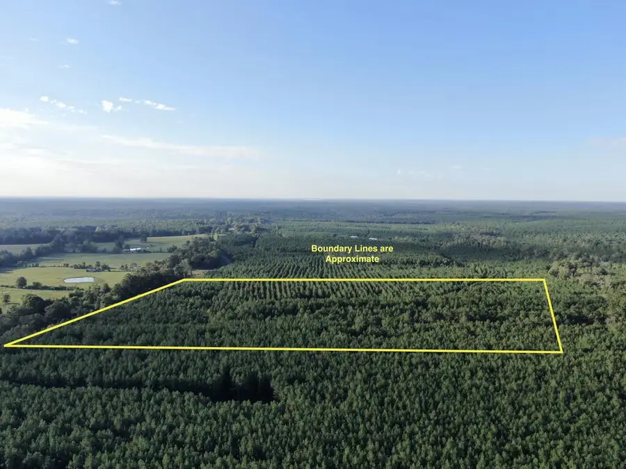 1690 Fm 1751, San Augustine, TX 75972 - #2