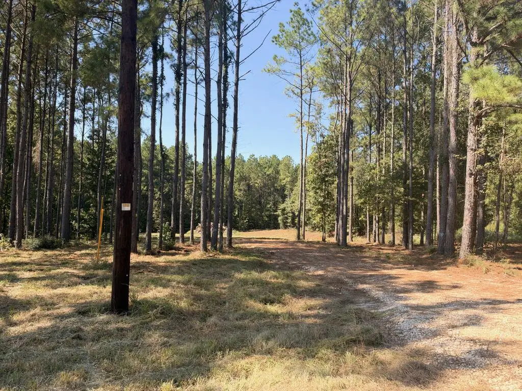 150 Buck Alley, Douglass, TX 75943 - #1