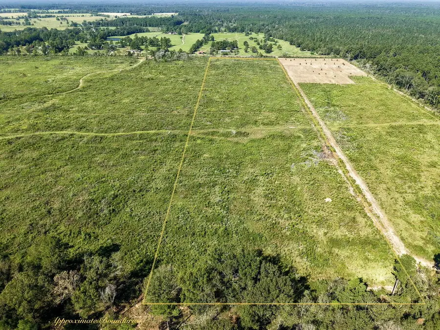 PID 32386 T-6 Fm 844, Huntington, TX 75949 - #2