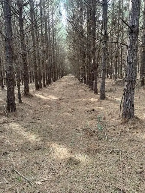 ID 41220 41221 Cr 4916, Timpson, TX 75975 - #1