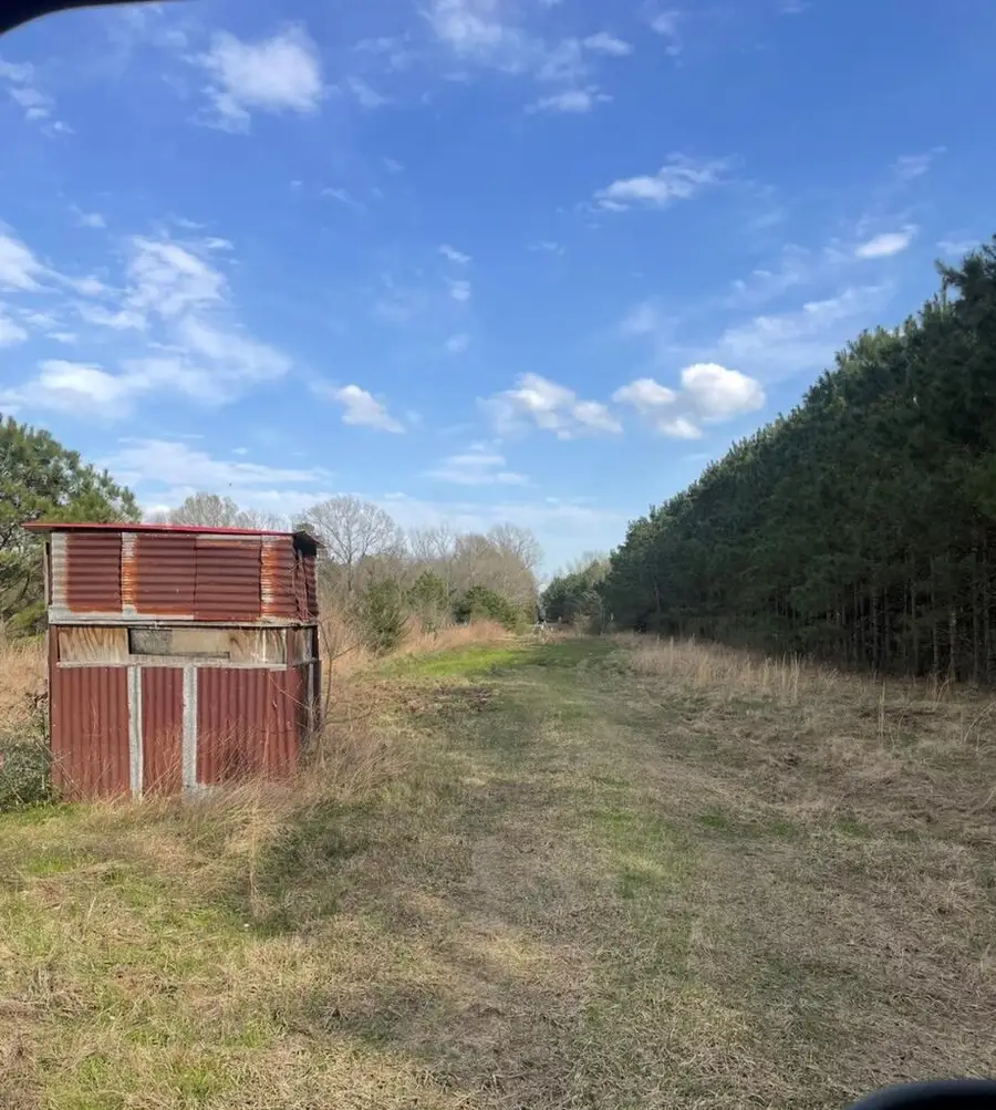 ID 41220 41221 Cr 4916, Timpson, TX 75975 - #2