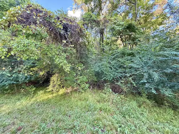 LOT 572 Commodore Drive, Hemphill, TX 75948