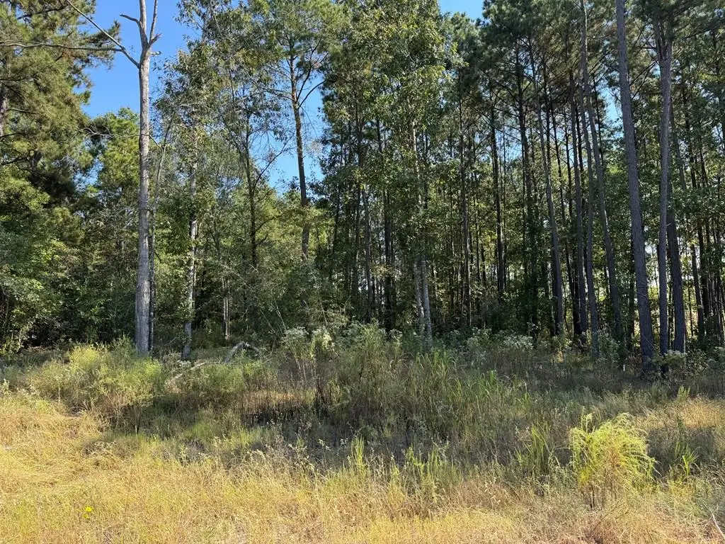 125 Yaupon Court, Lufkin, TX 75904 - #1