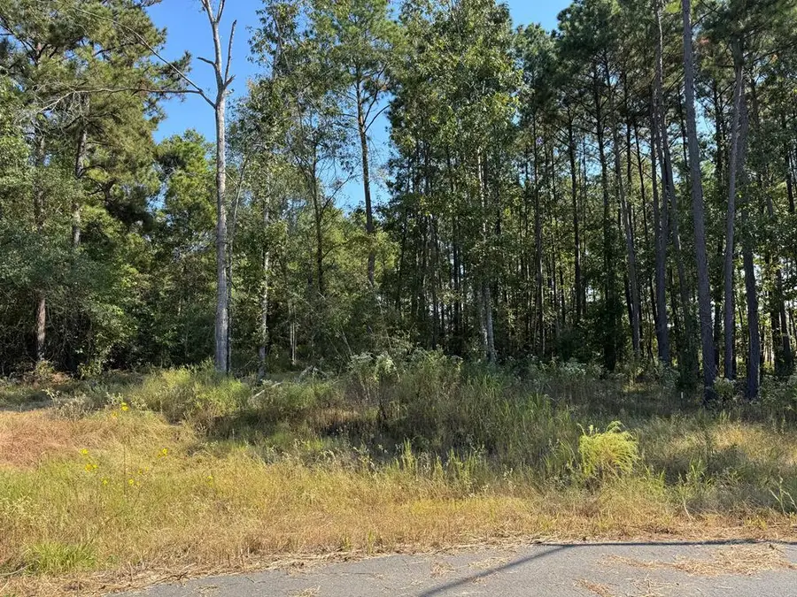 125 Yaupon Court, Lufkin, TX 75904 - #2