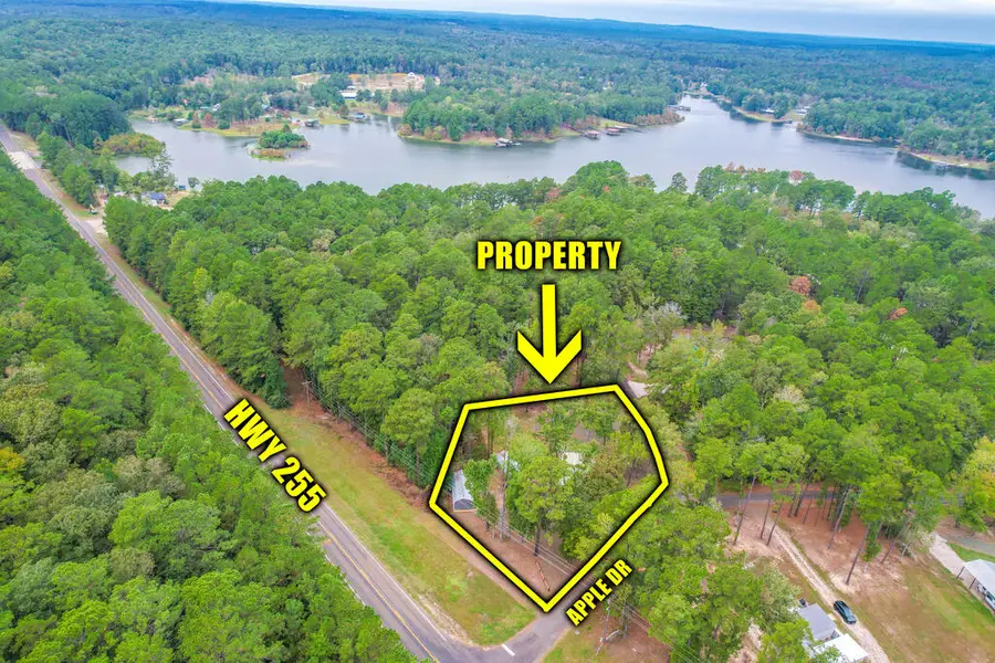 125 Apple Drive, Burkeville, TX 75932 - #3