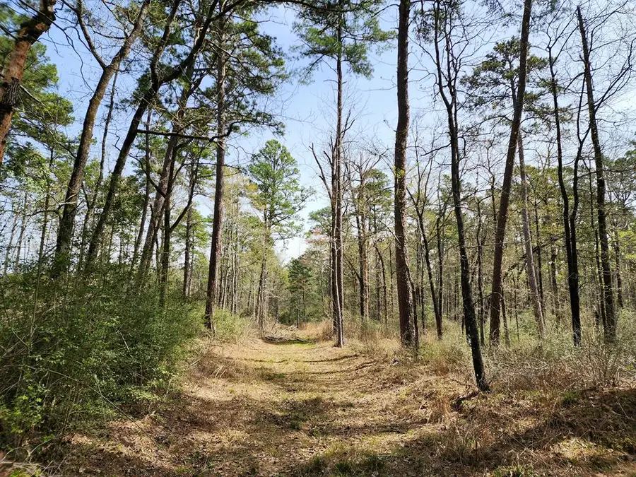 ID 27753 Fs Rd 107, Shelbyville, TX 75973 - #3