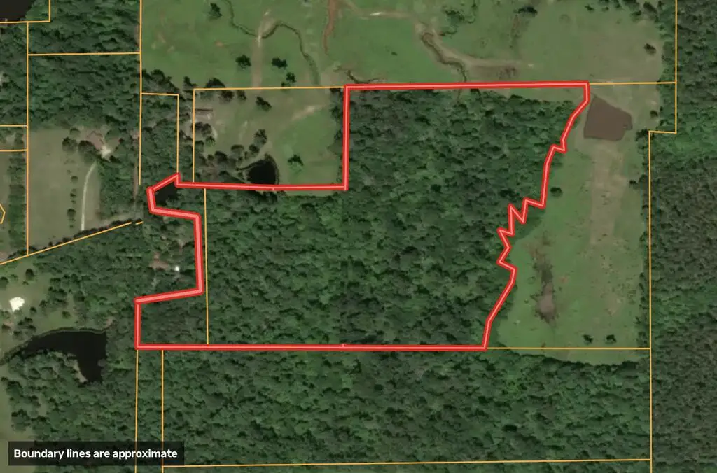 PID 16071 Bates Road, Lufkin, TX 75904 - #1