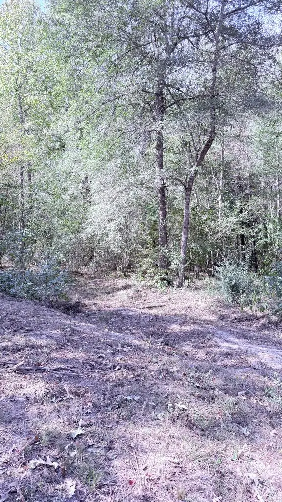 752 County Road 1058, Wiergate, TX 75977