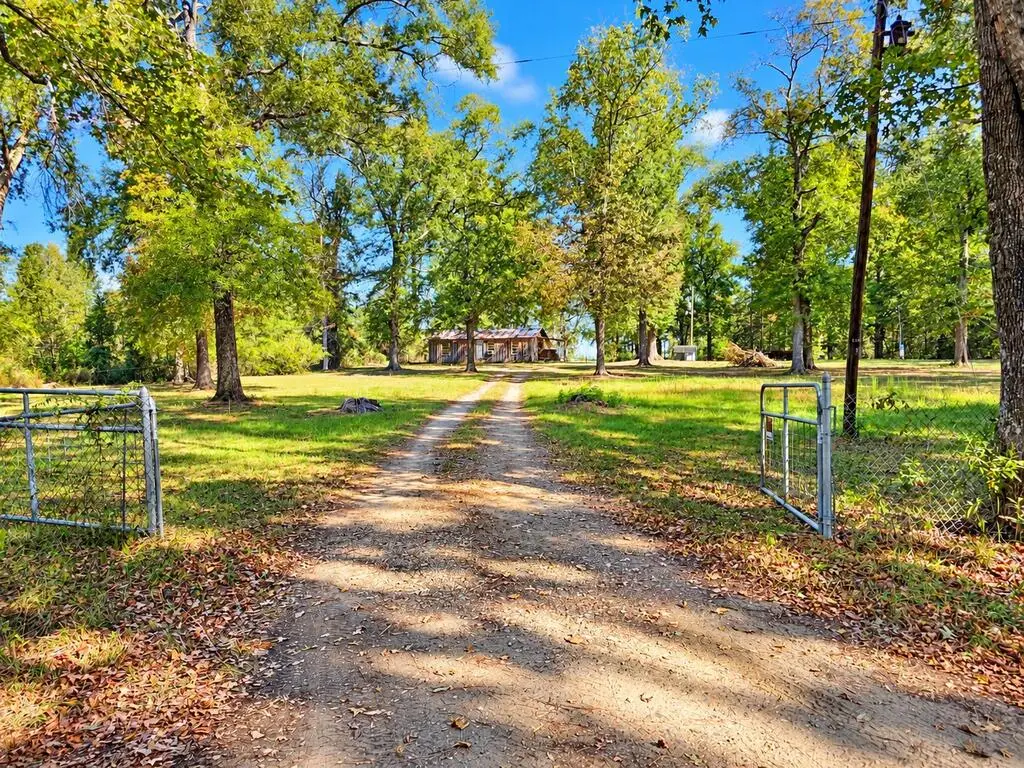 886 County Road 298, Jasper, TX 75951 - #1