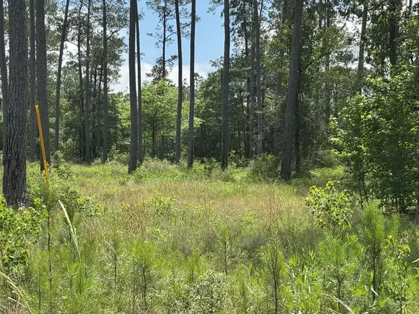 Lot 009 Private Rd 6028, Brookeland, TX 75931
