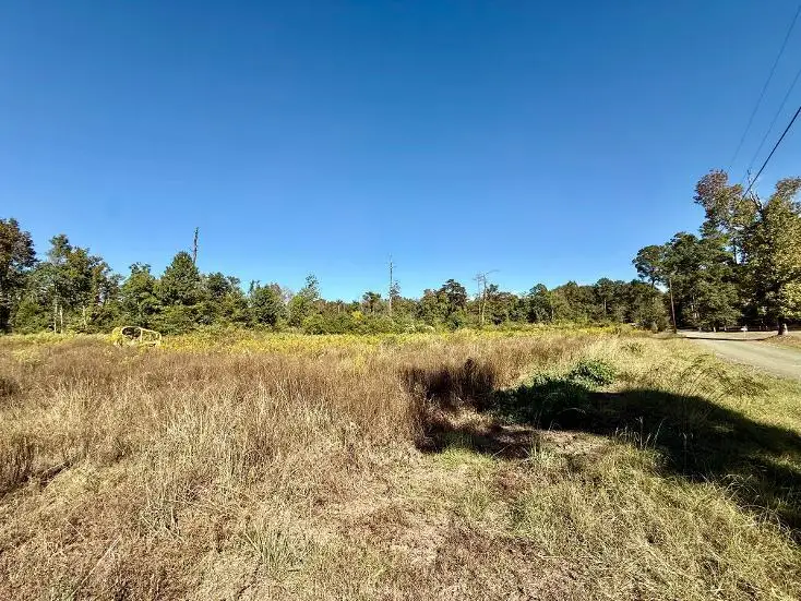 290 County Road 130, Jasper, TX 75951 - #2