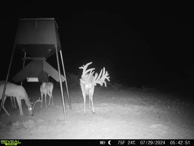 #2