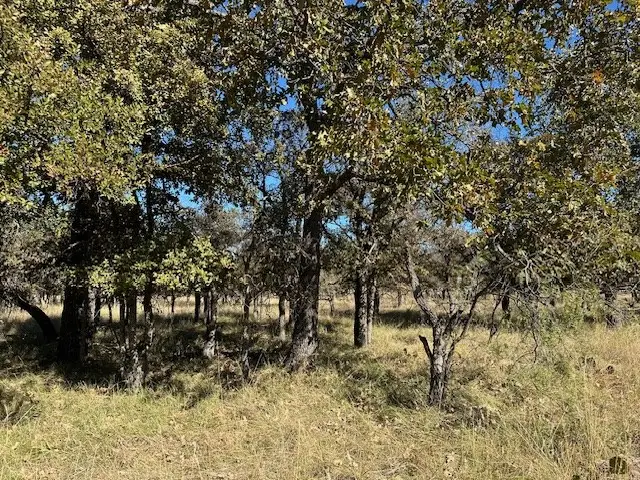 0 Other, May, TX 76857 - Image #3