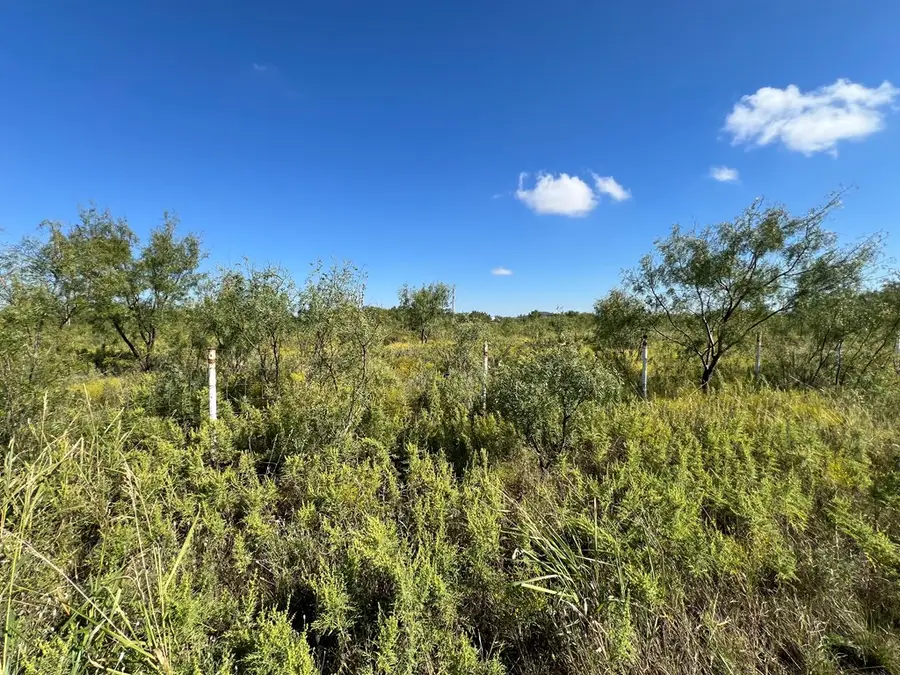 8502 Evergreen Lane, San Angelo, TX 76901 - Image #2