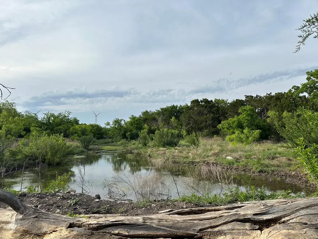 209 County Rd 310, Nolan, TX 79556 - #1