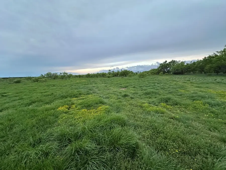 209 County Rd 310, Nolan, TX 79556 - #2