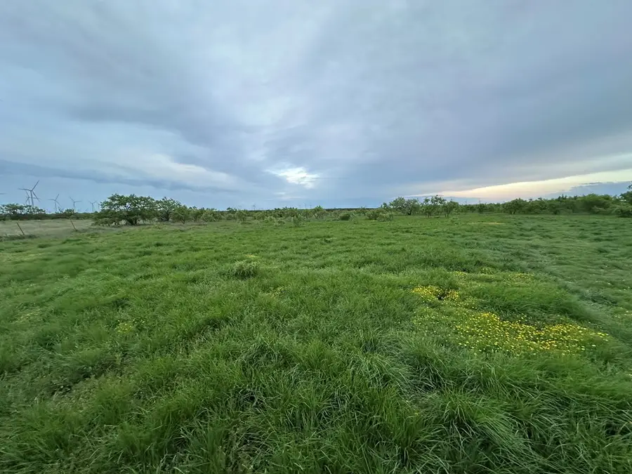 209 County Rd 310, Nolan, TX 79556 - #3