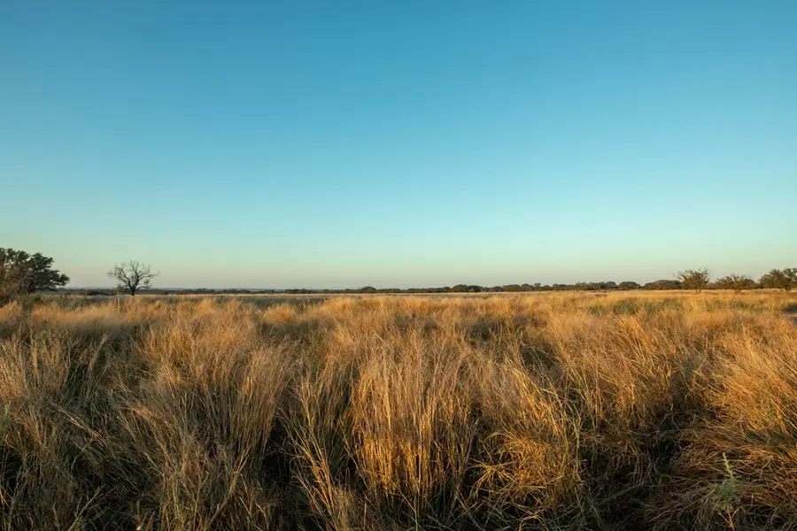 208 County Rd 208, Voca, TX 76887 - #2